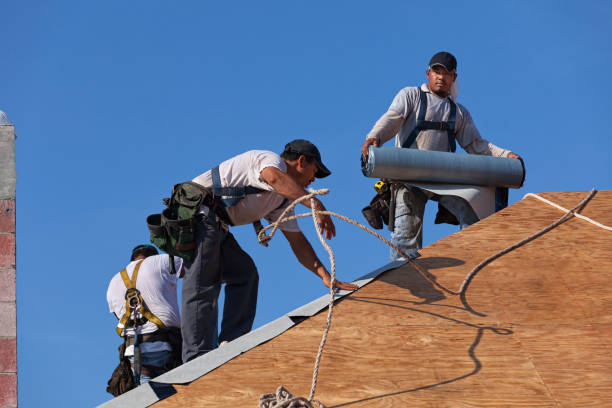 Best Storm Damage Roof Repair  in Petersburg, AK