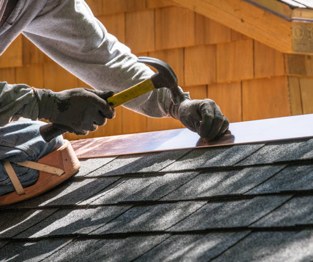 Best Residential Roofing Contractor  in Petersburg, AK